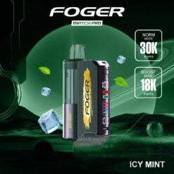 Icy Mint Foger Switch Pro Kit 30K Puffs